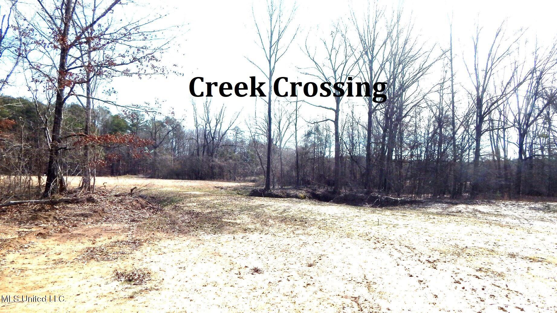 590 247th Road, Unit COUNTRY Bruce, MS 38915 - Photo 12 of 55 DSCN6565