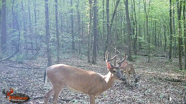 $89,500 | 590 247th Road, Unit COUNTRY, Bruce, MS 38915