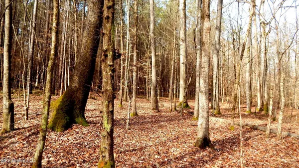 $89,500 | 590 247th Road, Unit COUNTRY, Bruce, MS 38915