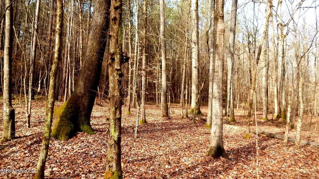 $89,500 | 590 247th Road, Unit COUNTRY, Bruce, MS 38915