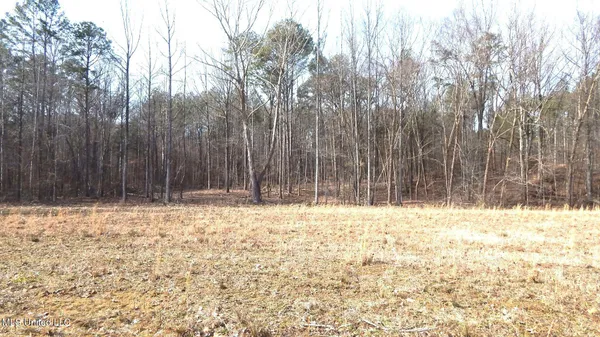 $89,500 | 590 247th Road, Unit COUNTRY, Bruce, MS 38915