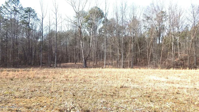 $89,500 | 590 247th Road, Unit COUNTRY, Bruce, MS 38915