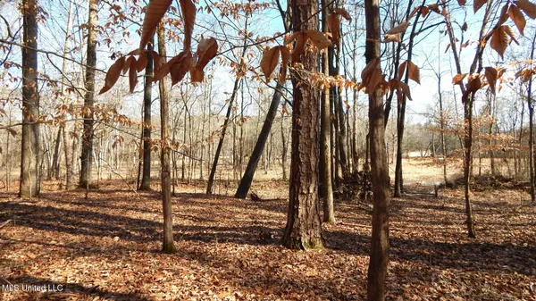 $89,500 | 590 247th Road, Unit COUNTRY, Bruce, MS 38915