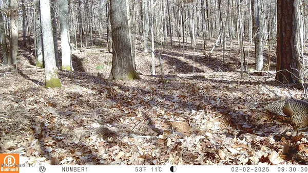 $89,500 | 590 247th Road, Unit COUNTRY, Bruce, MS 38915