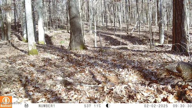 $89,500 | 590 247th Road, Unit COUNTRY, Bruce, MS 38915