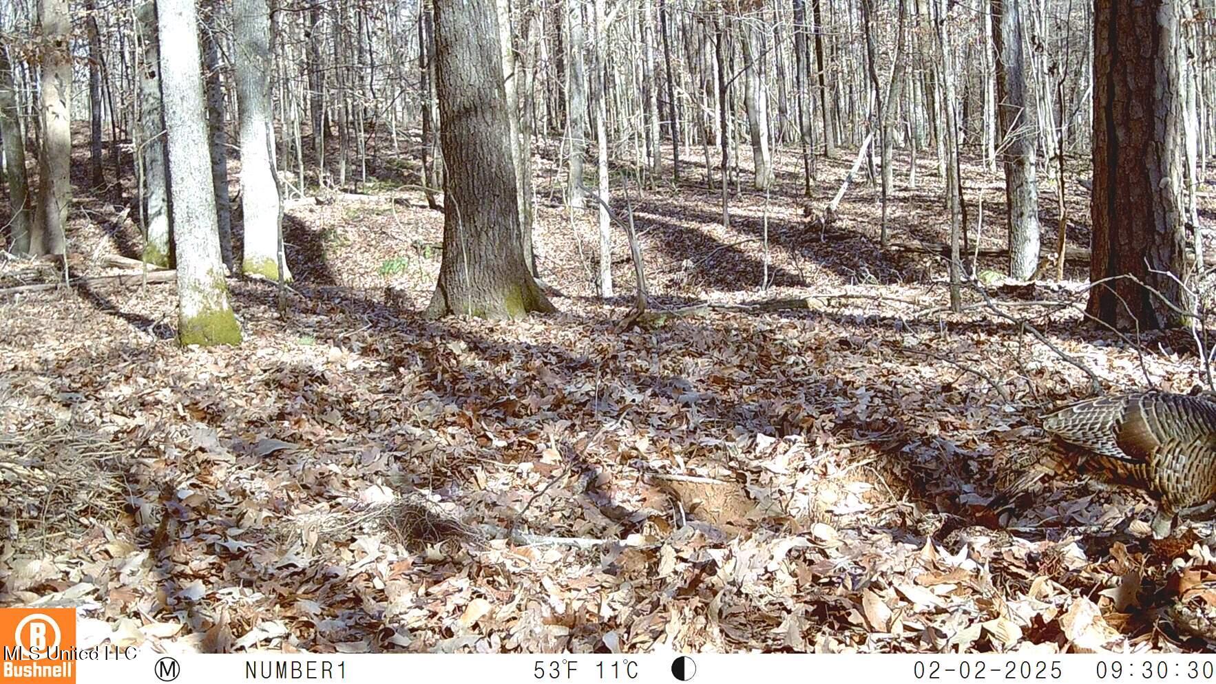 590 247th Road, Unit COUNTRY Bruce, MS 38915 - Photo 18 of 55 102_0267
