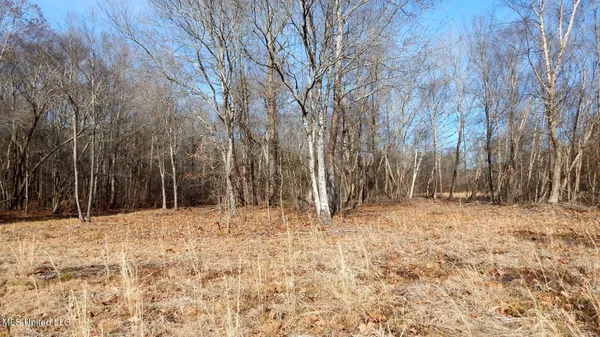 $89,500 | 590 247th Road, Unit COUNTRY, Bruce, MS 38915