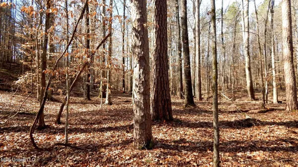 $89,500 | 590 247th Road, Unit COUNTRY, Bruce, MS 38915