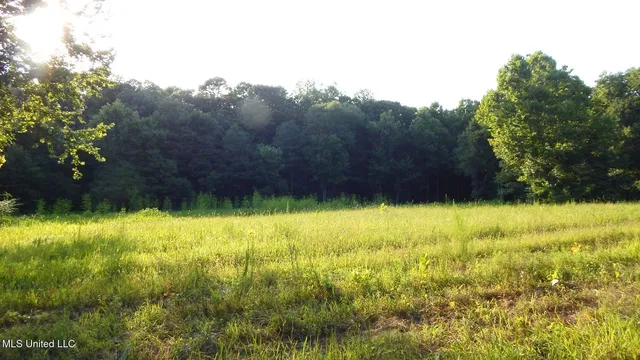 $89,500 | 590 247th Road, Unit COUNTRY, Bruce, MS 38915