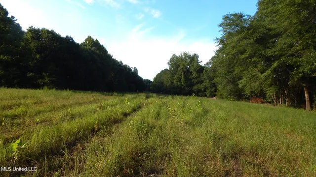 $89,500 | 590 247th Road, Unit COUNTRY, Bruce, MS 38915