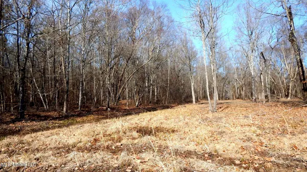 $89,500 | 590 247th Road, Unit COUNTRY, Bruce, MS 38915