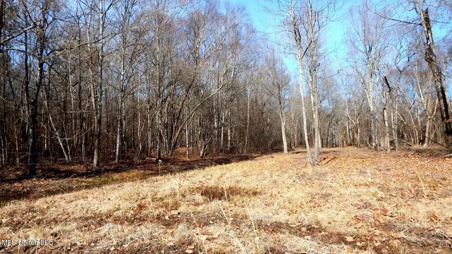 $89,500 | 590 247th Road, Unit COUNTRY, Bruce, MS 38915