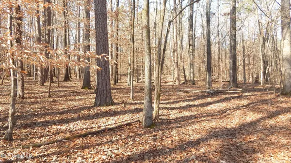 $89,500 | 590 247th Road, Unit COUNTRY, Bruce, MS 38915