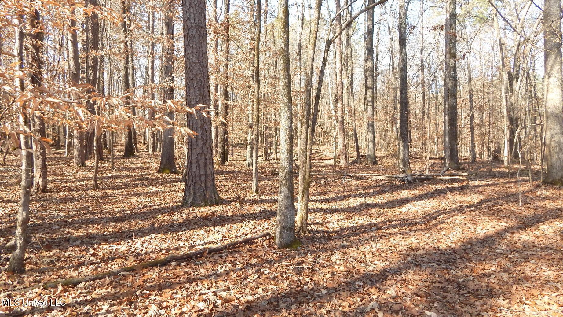 590 247th Road, Unit COUNTRY Bruce, MS 38915 - Photo 26 of 55 DSCN6576