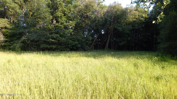 $89,500 | 590 247th Road, Unit COUNTRY, Bruce, MS 38915