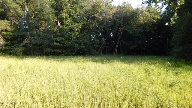 $89,500 | 590 247th Road, Unit COUNTRY, Bruce, MS 38915