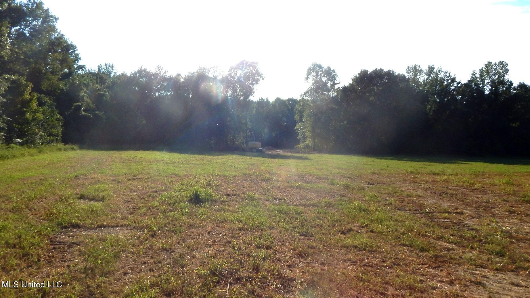 590 247th Road, Unit COUNTRY Bruce, MS 38915 - Photo 32 of 55 DSCN5653