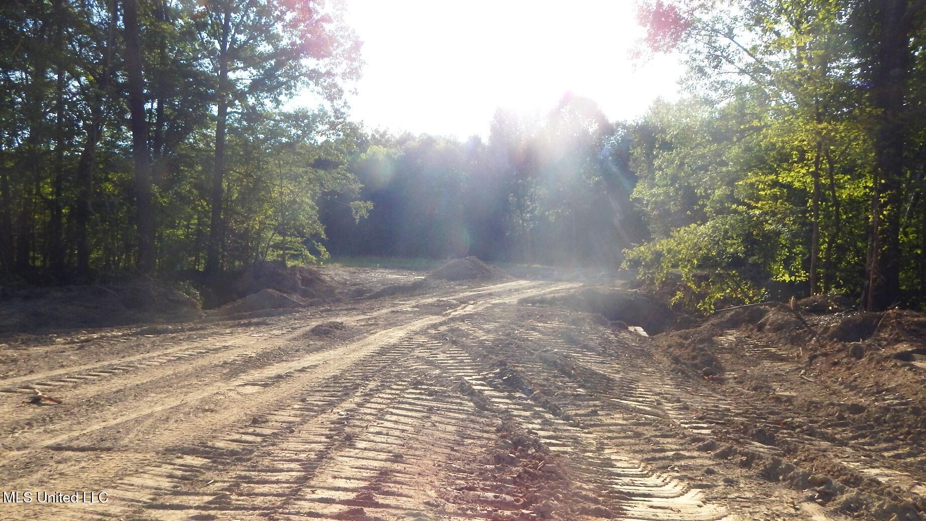 590 247th Road, Unit COUNTRY Bruce, MS 38915 - Photo 34 of 55 DSCN5657