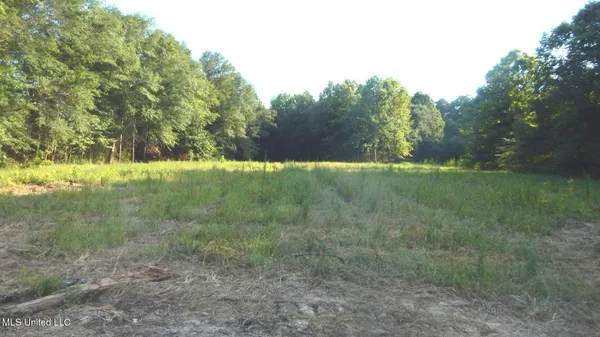 $89,500 | 590 247th Road, Unit COUNTRY, Bruce, MS 38915