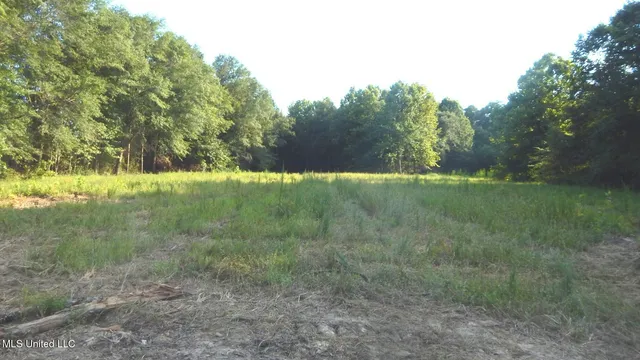 $89,500 | 590 247th Road, Unit COUNTRY, Bruce, MS 38915