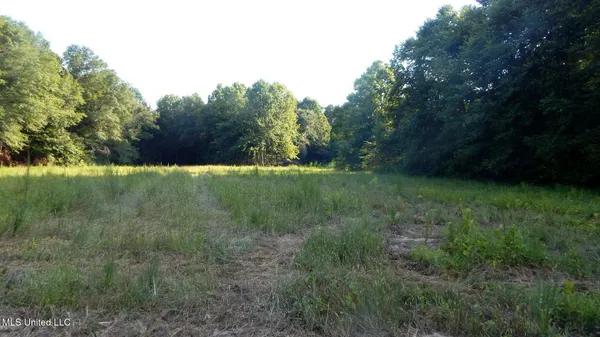 $89,500 | 590 247th Road, Unit COUNTRY, Bruce, MS 38915