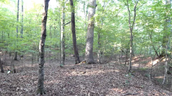 $89,500 | 590 247th Road, Unit COUNTRY, Bruce, MS 38915