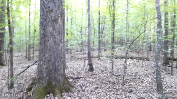 $89,500 | 590 247th Road, Unit COUNTRY, Bruce, MS 38915