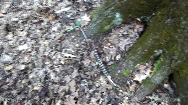 $89,500 | 590 247th Road, Unit COUNTRY, Bruce, MS 38915