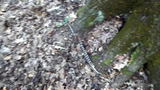 $89,500 | 590 247th Road, Unit COUNTRY, Bruce, MS 38915