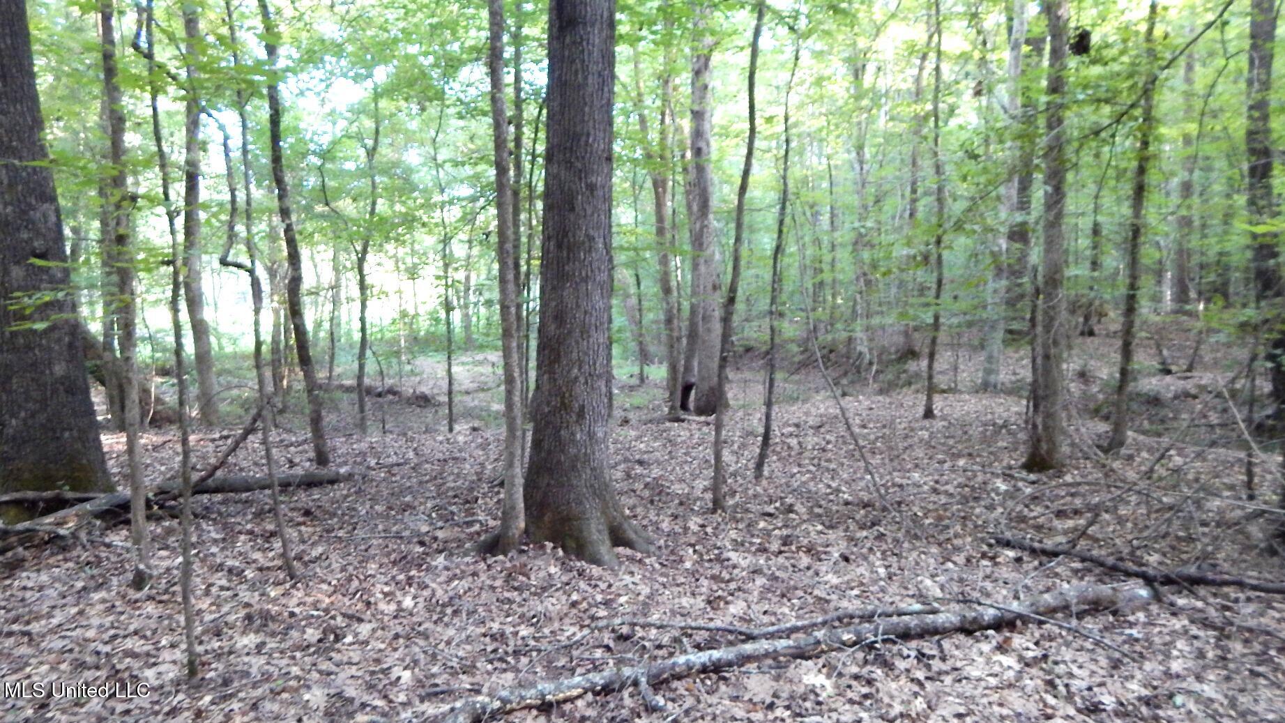 590 247th Road, Unit COUNTRY Bruce, MS 38915 - Photo 42 of 55 DSCN5672