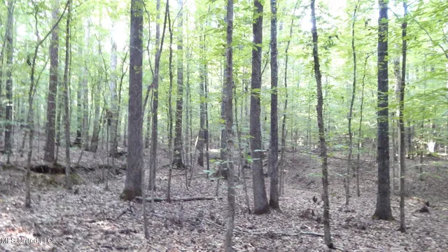 $89,500 | 590 247th Road, Unit COUNTRY, Bruce, MS 38915