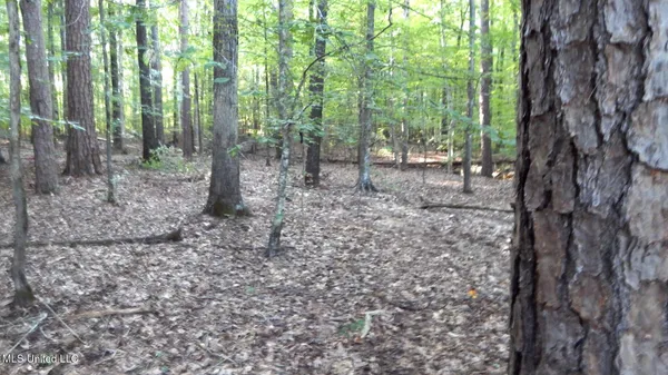 $89,500 | 590 247th Road, Unit COUNTRY, Bruce, MS 38915