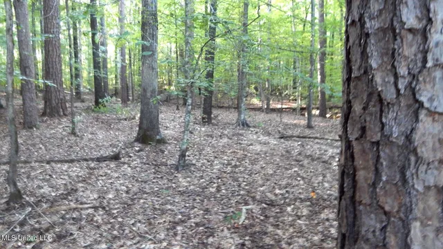 $89,500 | 590 247th Road, Unit COUNTRY, Bruce, MS 38915