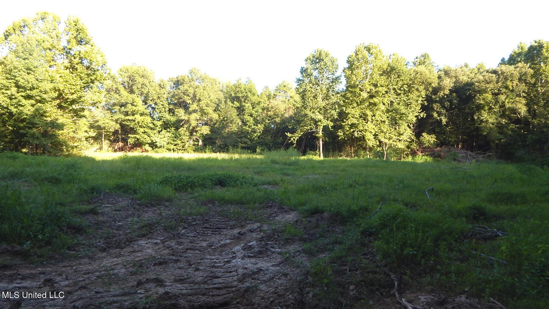 590 247th Road, Unit COUNTRY Bruce, MS 38915 - Photo 45 of 55 DSCN5685