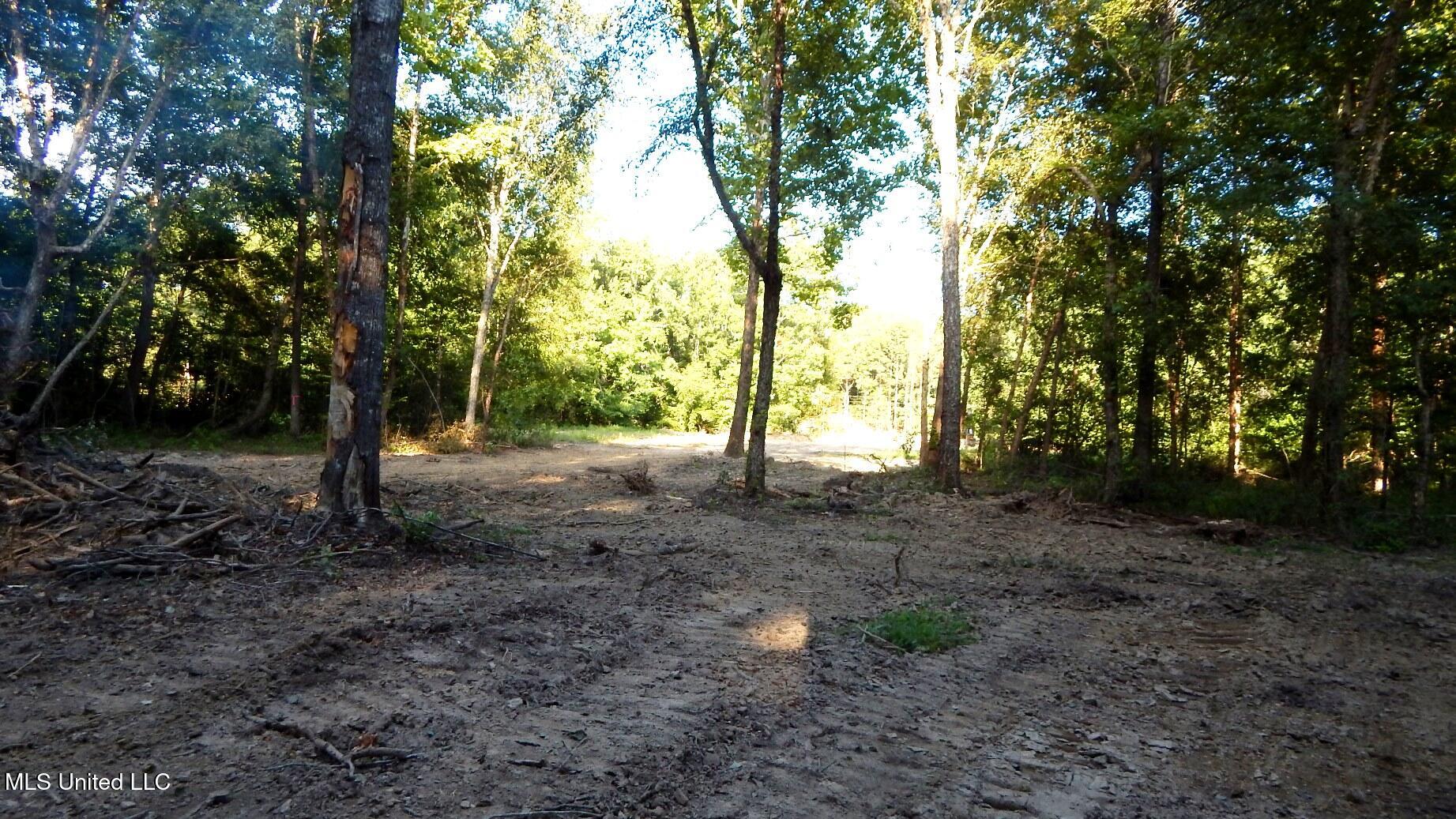 590 247th Road, Unit COUNTRY Bruce, MS 38915 - Photo 46 of 55 DSCN5686