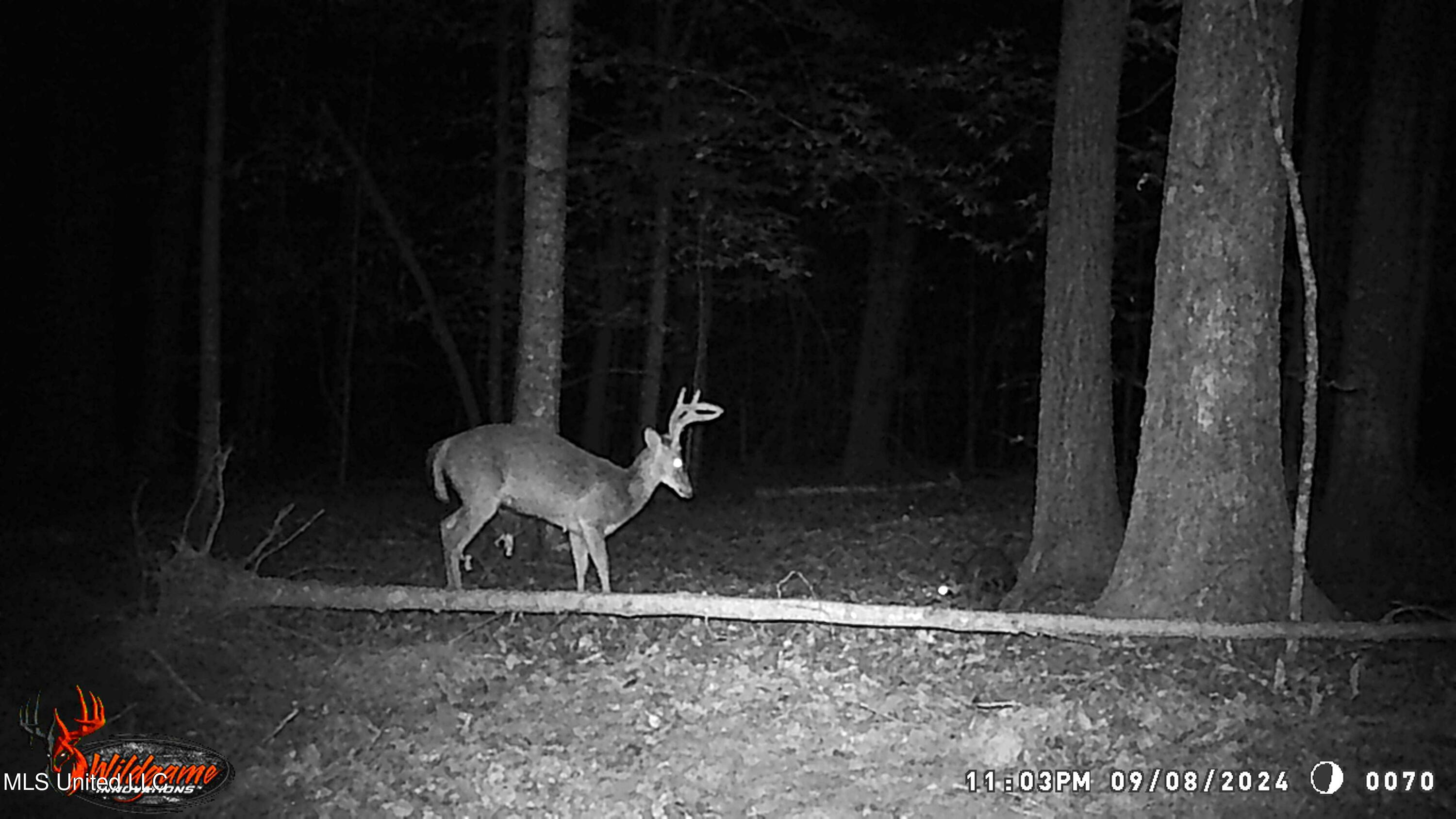 590 247th Road, Unit COUNTRY Bruce, MS 38915 - Photo 47 of 55 WGI_0070