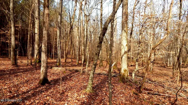 $89,500 | 590 247th Road, Unit COUNTRY, Bruce, MS 38915