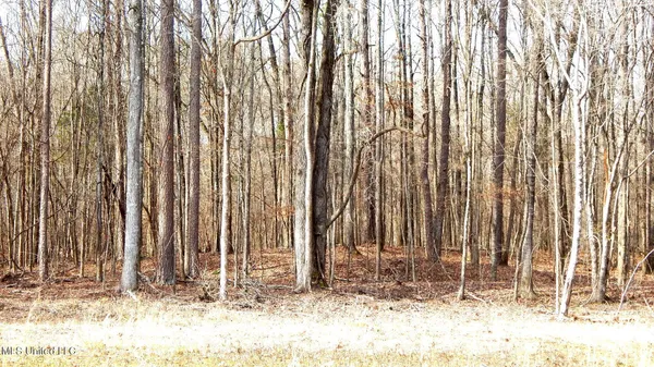 $89,500 | 590 247th Road, Unit COUNTRY, Bruce, MS 38915