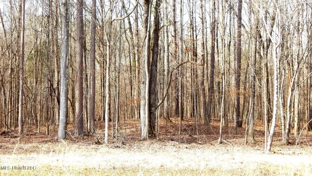 $89,500 | 590 247th Road, Unit COUNTRY, Bruce, MS 38915