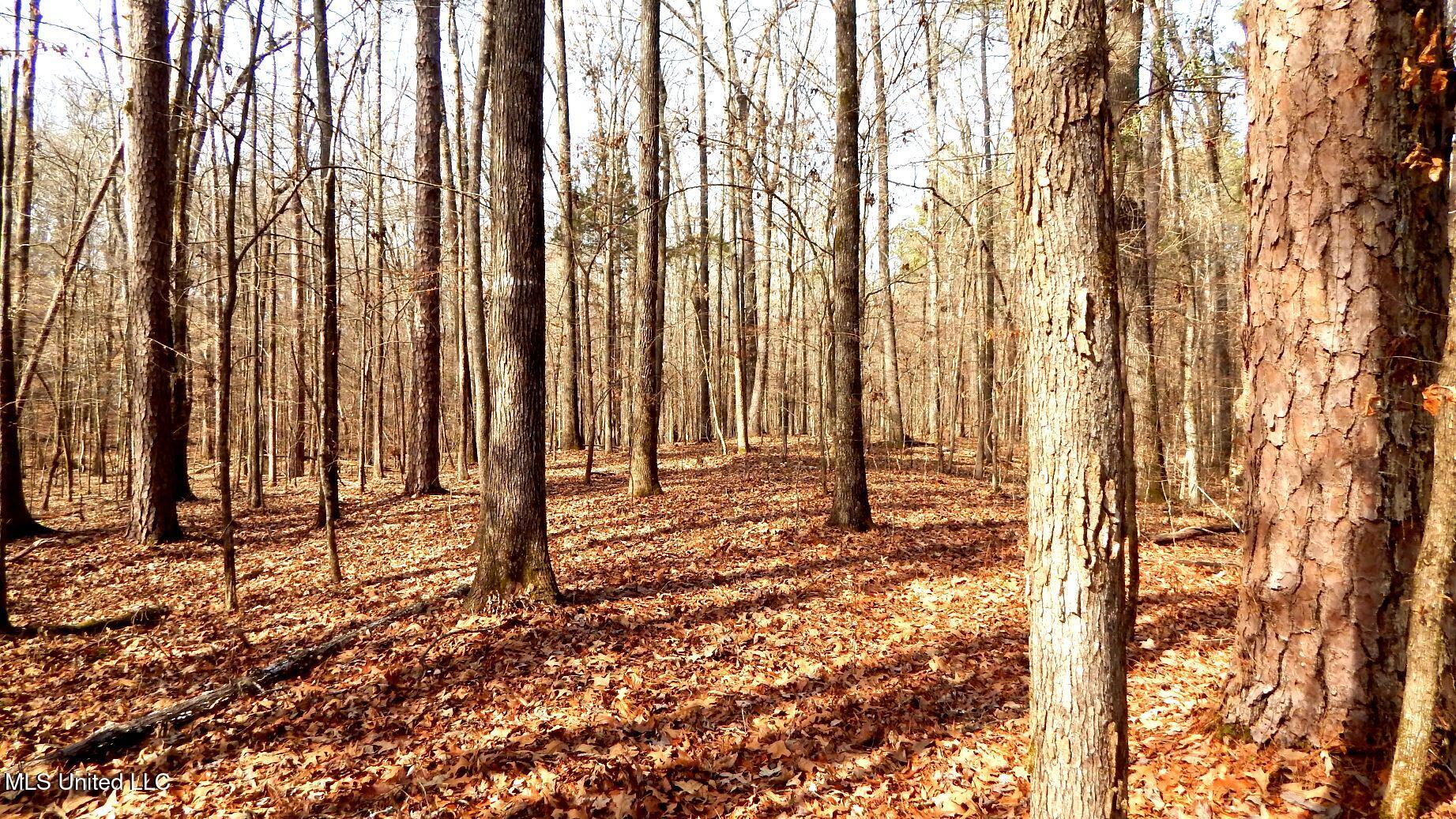 590 247th Road, Unit COUNTRY Bruce, MS 38915 - Photo 51 of 55 DSCN6570