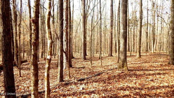 $89,500 | 590 247th Road, Unit COUNTRY, Bruce, MS 38915