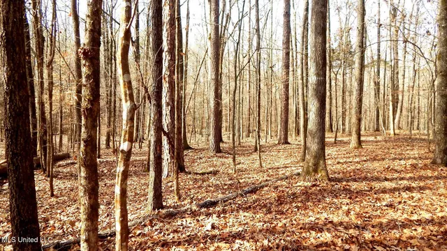 $89,500 | 590 247th Road, Unit COUNTRY, Bruce, MS 38915