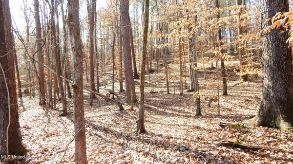 $89,500 | 590 247th Road, Unit COUNTRY, Bruce, MS 38915