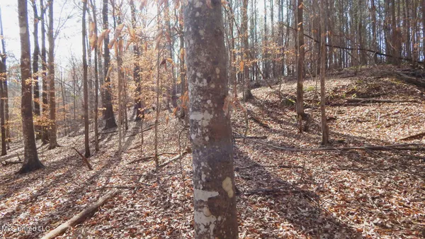 $89,500 | 590 247th Road, Unit COUNTRY, Bruce, MS 38915