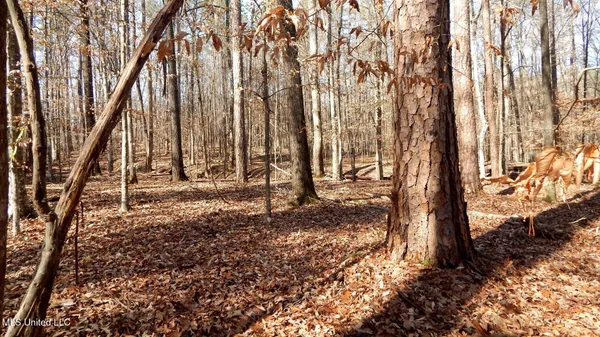 $89,500 | 590 247th Road, Unit COUNTRY, Bruce, MS 38915