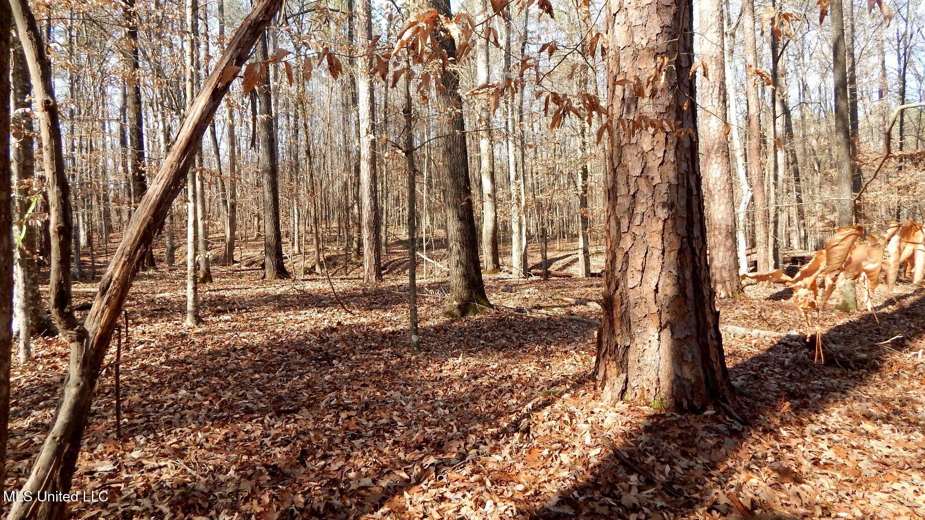 590 247th Road, Unit COUNTRY Bruce, MS 38915 - Photo 55 of 55 DSCN6581