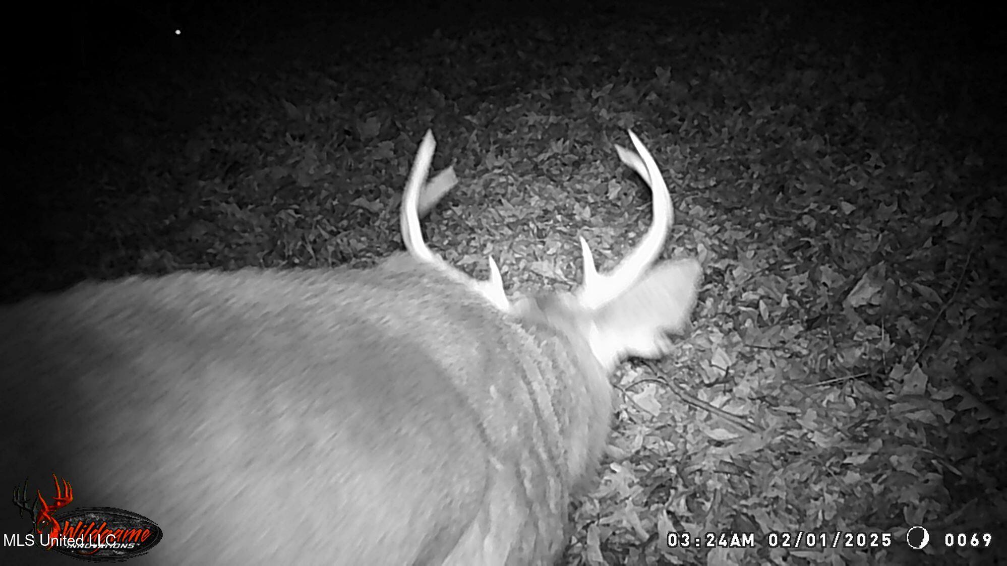 590 247th Road, Unit COUNTRY Bruce, MS 38915 - Photo 10 of 55 WGI_0069