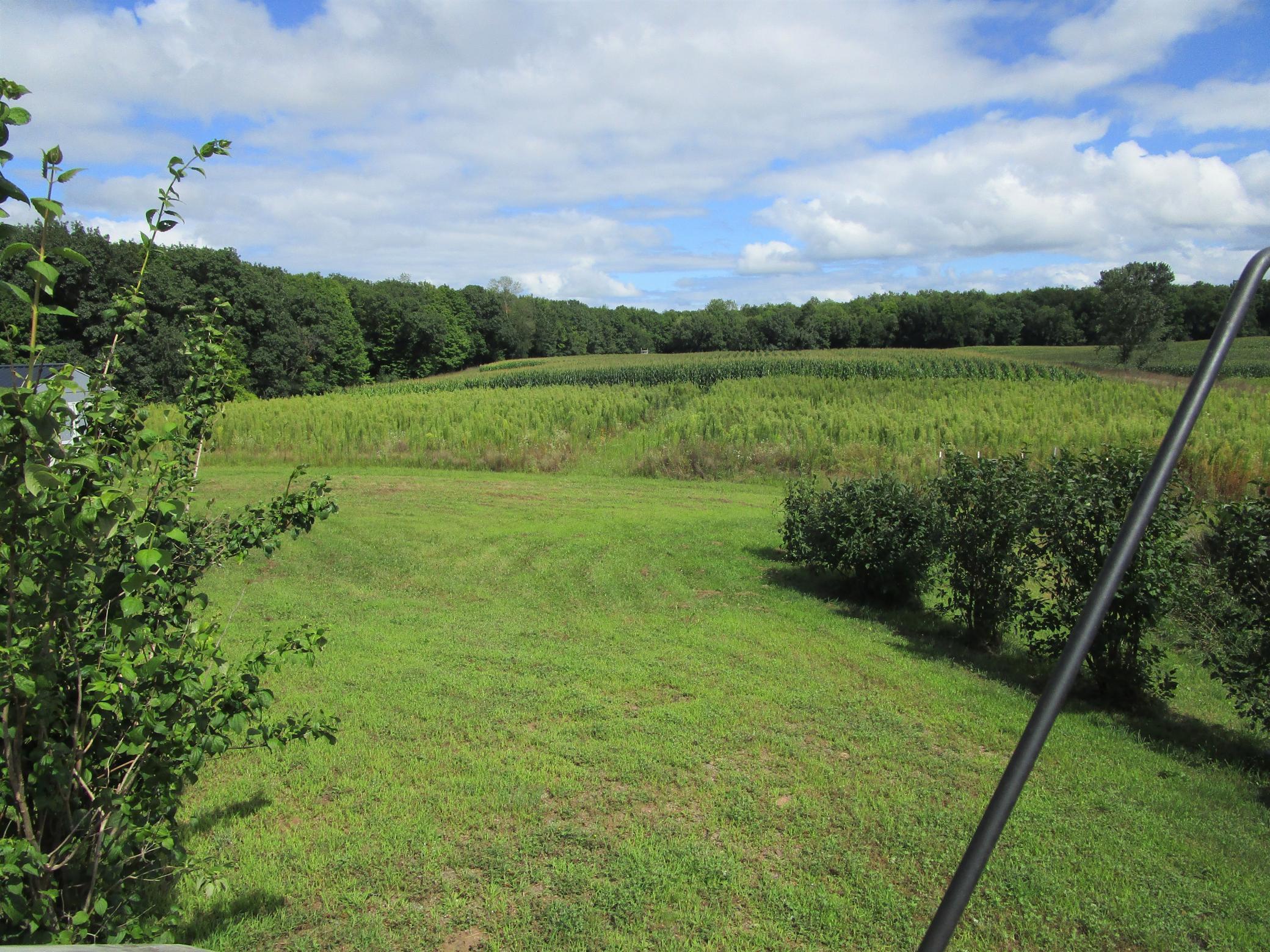 3074 170th Street Frederic, WI 54837 - Photo 14 of 28