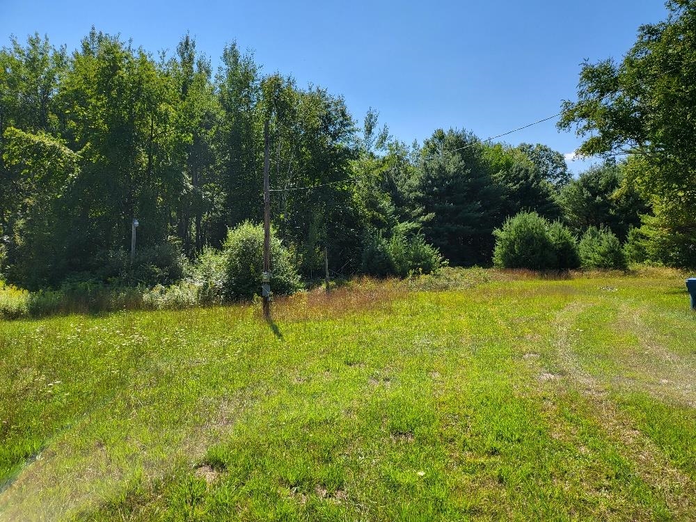 498 West Ridge Road Gladwin, MI 48624 - Photo 3 of 13