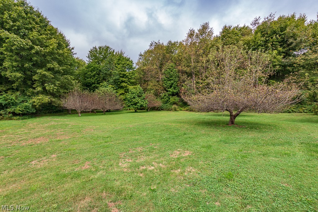 10470 Old State Road Chardon, OH 44024 - Photo 7 of 32